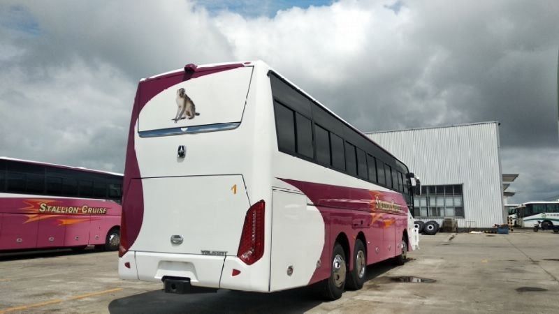 Лучший выбор для городских автобусов